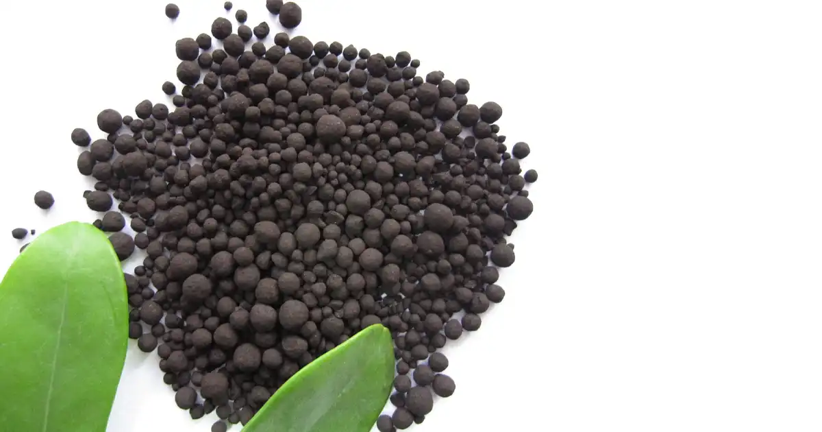 کاربردها و گیاهان نیازمند کود هیومیک اسید پرک کاربردها و گیاهان نیازمند کود هیومیک اسید پرک