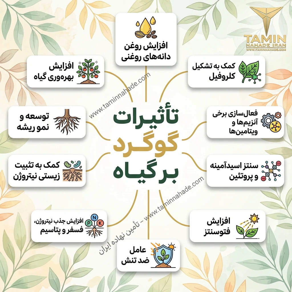 نقش گوگرد برای گیاهان نقش گوگرد برای گیاهان