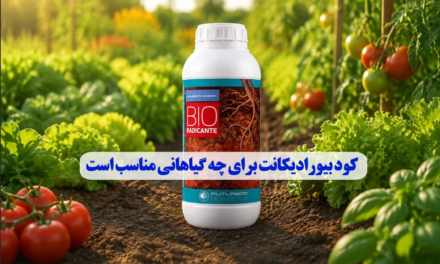آیا بیورادیکانت برای محصولات زراعی هم مفید است؟ آیا بیورادیکانت برای محصولات زراعی هم مفید است؟