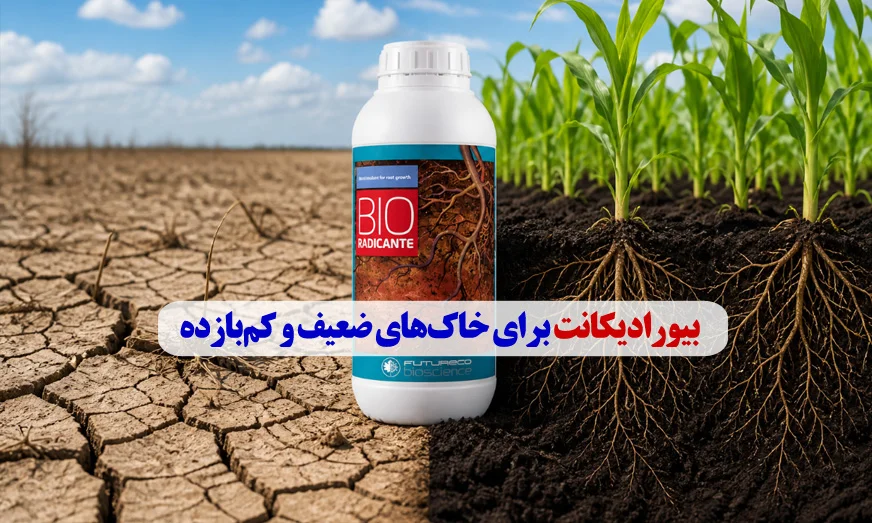 بیورادیکانت برای خاکهای ضعیف و کمبازده بیورادیکانت برای خاکهای ضعیف و کمبازده