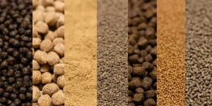 روش_ های اندازه_ گیری پروتئین خوراک دام؛ چه تفاوتی دارند؟